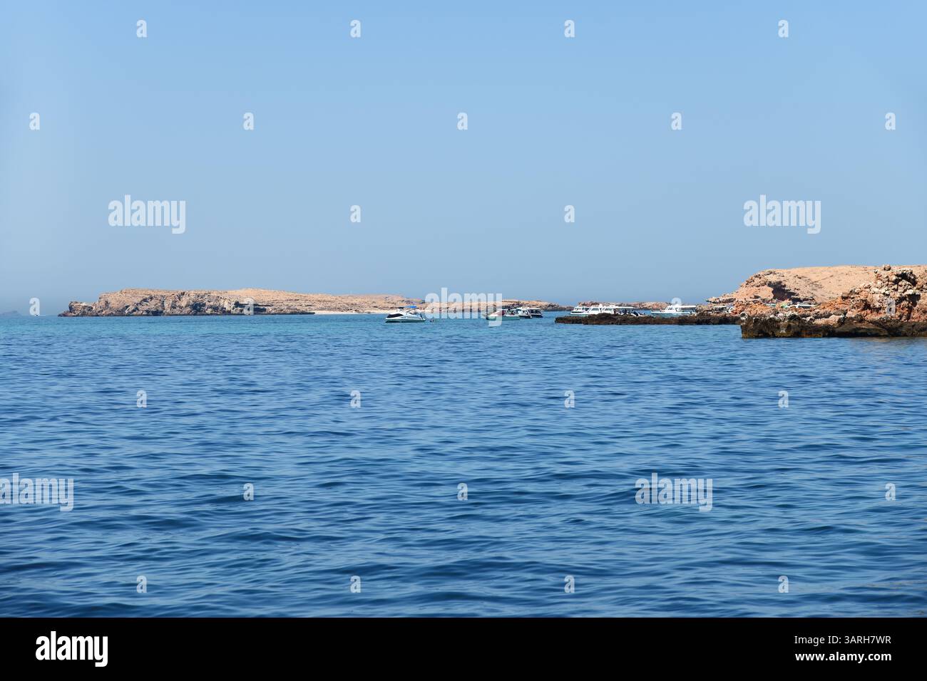 Golfe d'Oman, îles ad Daymaniyat. Bateaux blancs amarrés. Sultanat d'Oman Banque D'Images