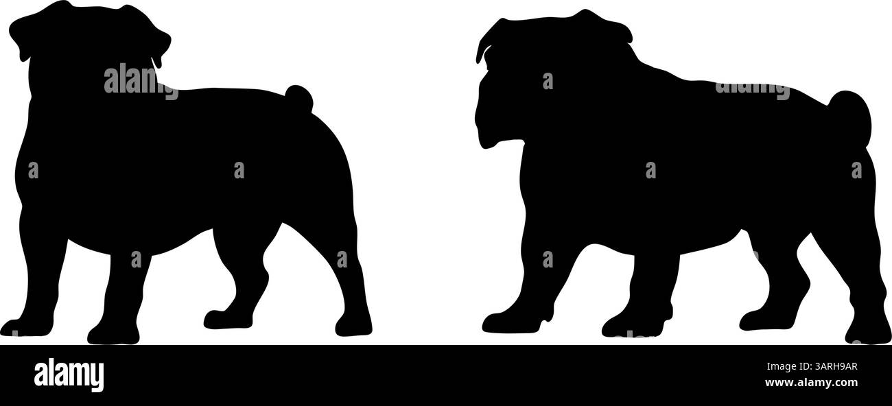 Bulldog dans différentes poses. Silhouette de race de chien Illustration de Vecteur