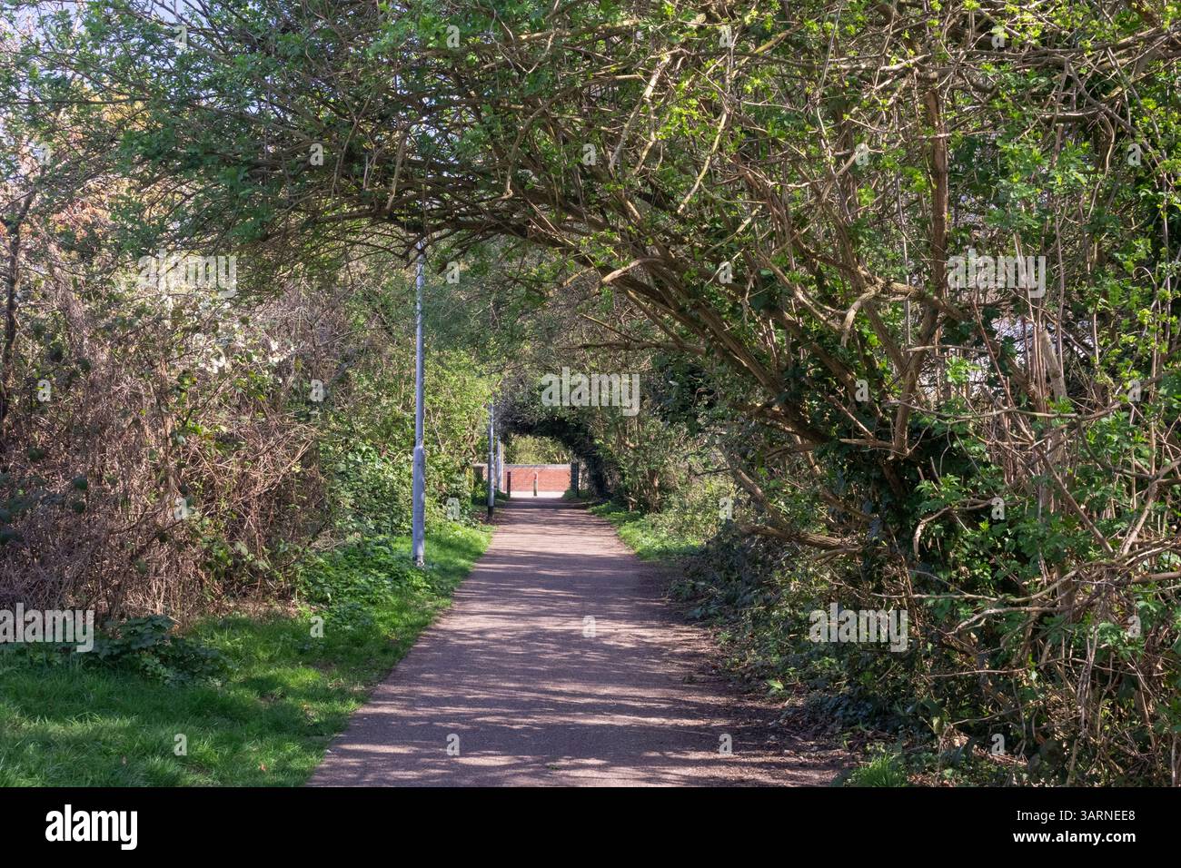 Sentier parallèle à Prittle Brook Greenway, Leigh-on-Sea, Essex, Angleterre, Royaume-Uni, un jour ensoleillé de printemps. (Une connexion sans trafic pour cy Banque D'Images