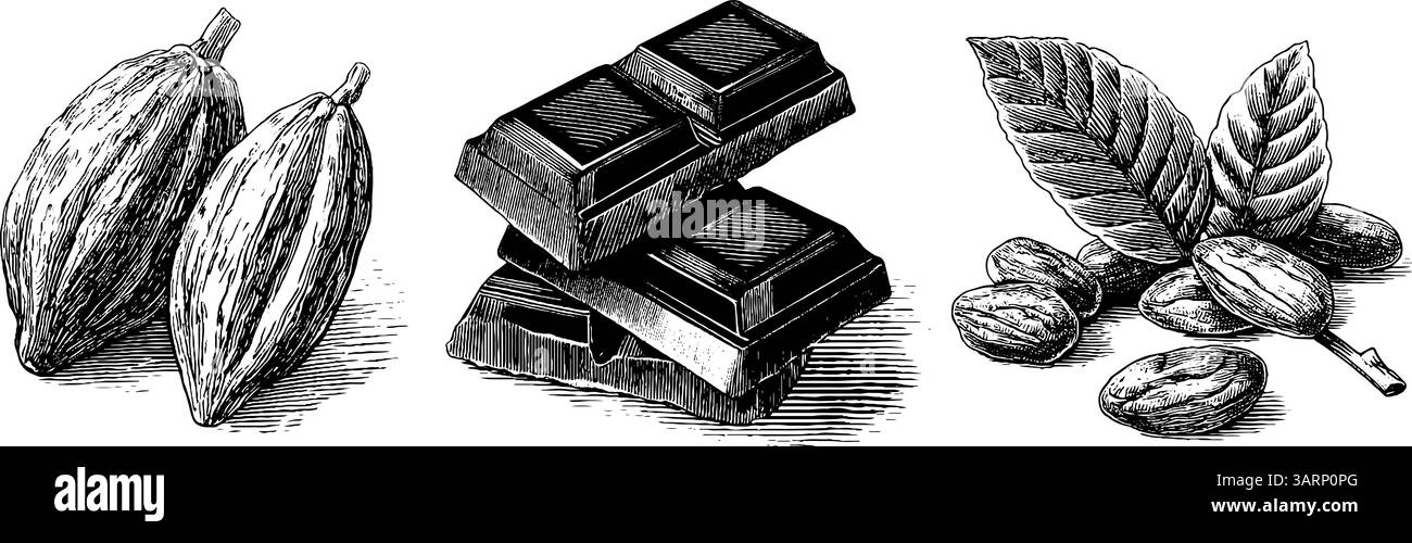 Gravure vintage de fraise, gâteau au chocolat et crème fouettée pour le design culinaire. Illustration de Vecteur
