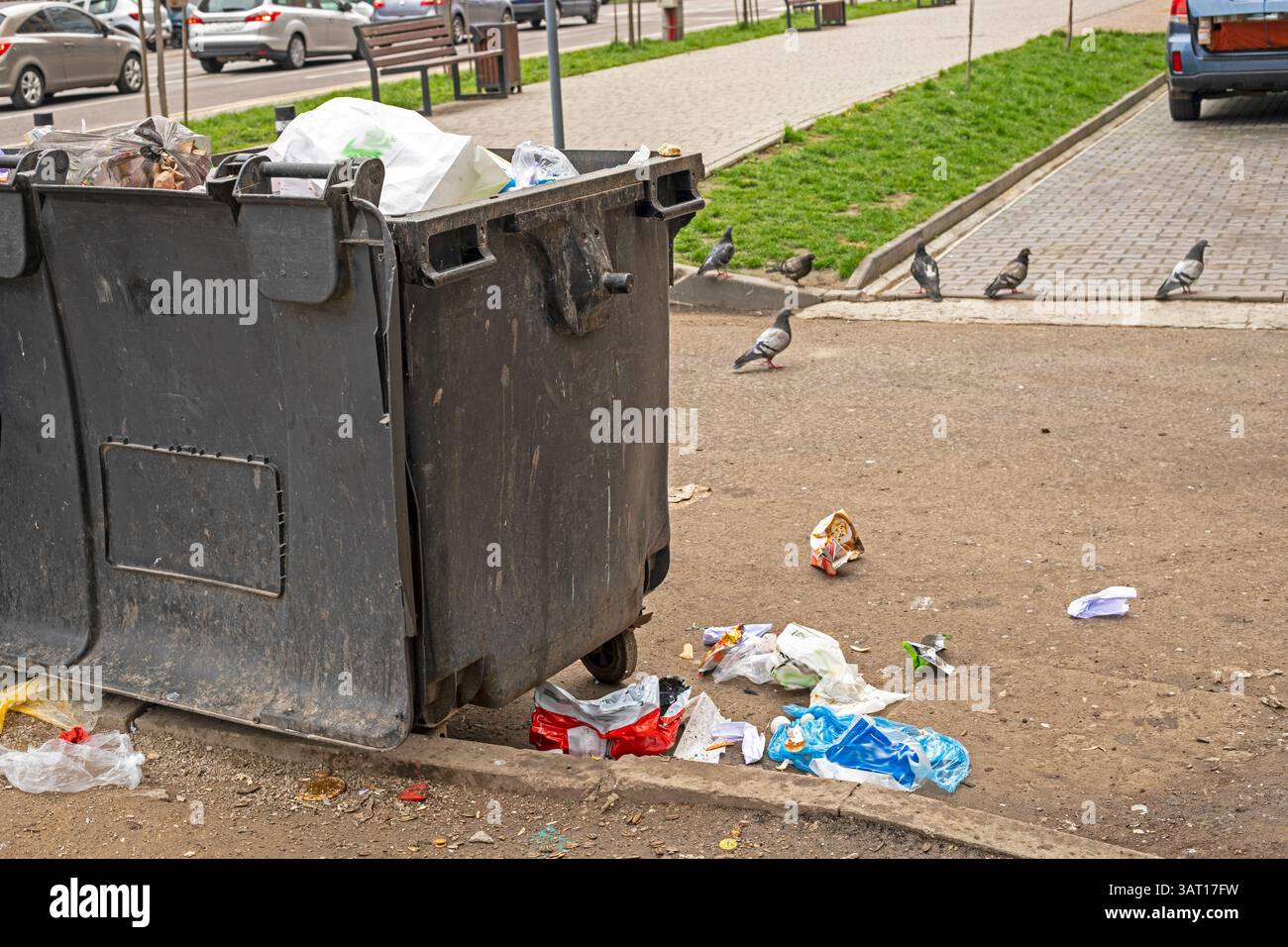 poubelles avec ordures à proximité et pigeons dans la ville. Protection de l'environnement. Tri des ordures Banque D'Images