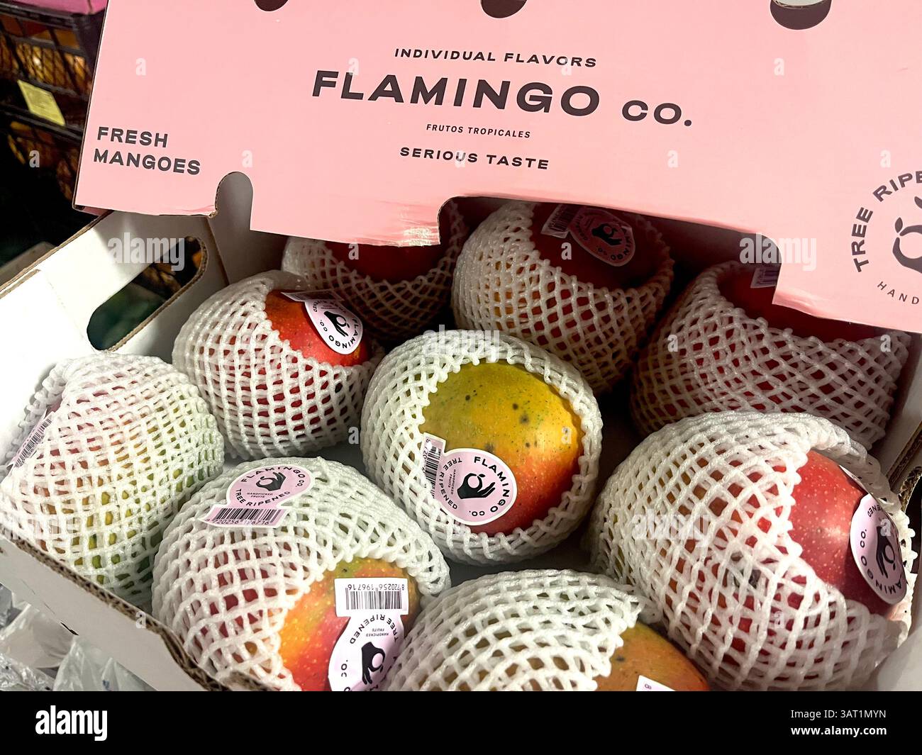 Caisse de mangues fraîches Flamingo Co. premium, emballées individuellement dans des filets de protection, emballage haut de gamme pour les marchés de fruits de luxe et la distribution - Image de stock capturée avec un smartphone