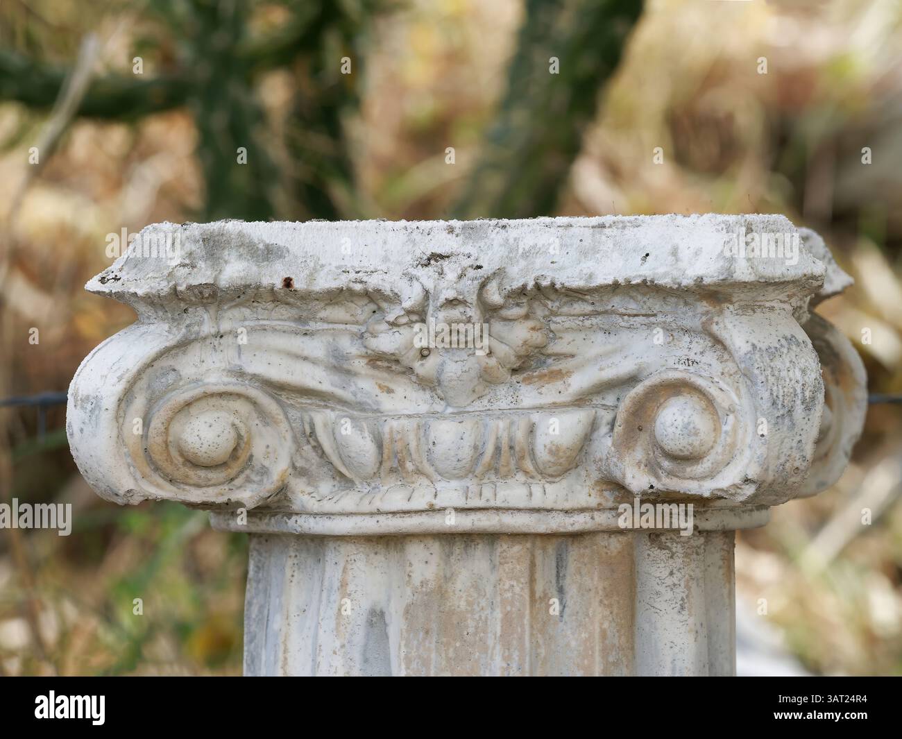 Gros plan du détail de la capitale corinthienne d'une colonne de pierre antique Banque D'Images