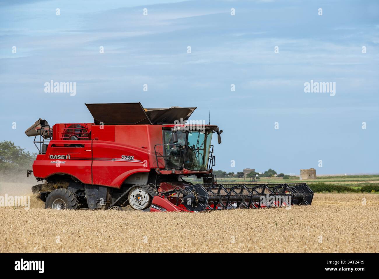 Récolte de blé Bawdsey Suffolk UK Banque D'Images