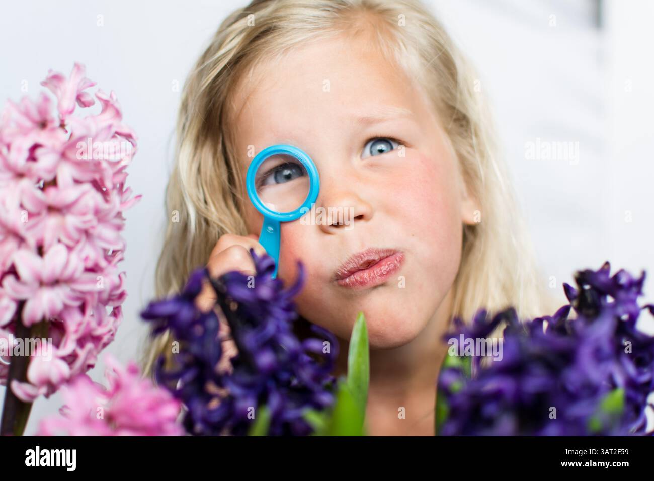 Enfant examinant les jacinthes à la loupe, expression curieuse. Banque D'Images