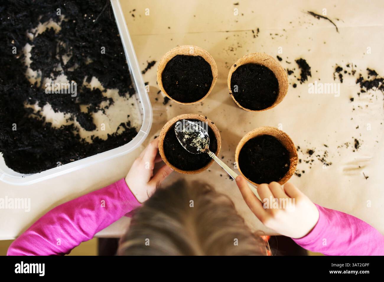 Enfant plantant des graines dans des pots de jardin Banque D'Images