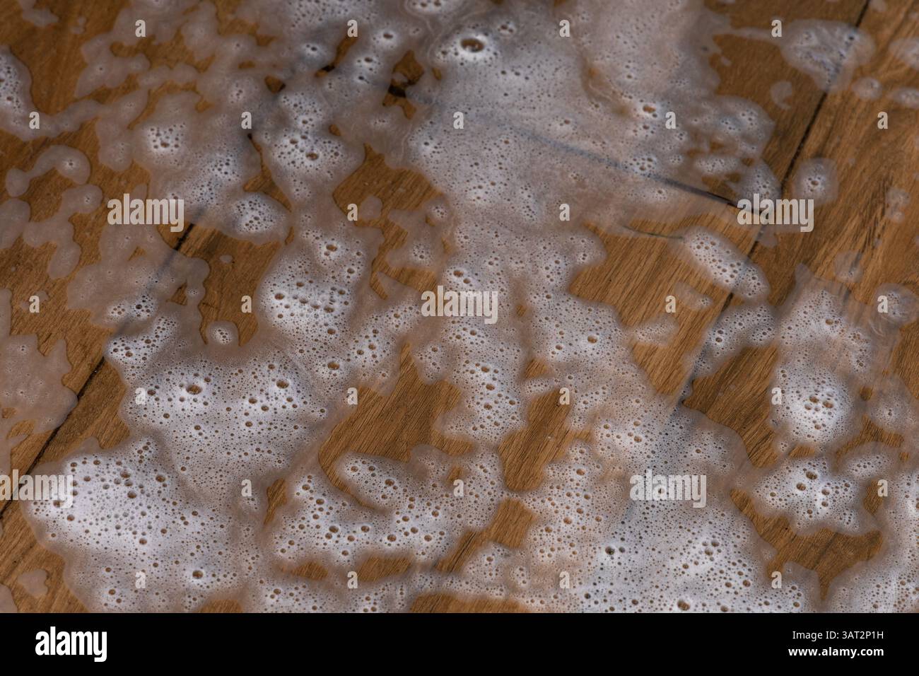 Terrasse sur la véranda inondée d'eau, lavage des carreaux sur la terrasse avec de l'eau savonneuse Banque D'Images