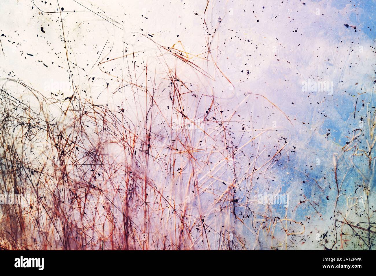 Photo floue de l'herbe et des plantes derrière la feuille, fond abstrait. Banque D'Images