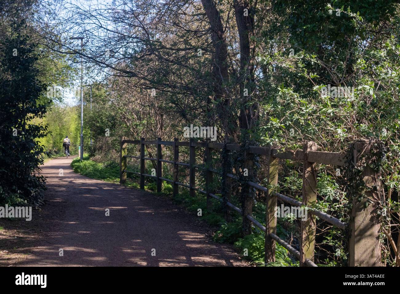 Sentier parallèle à Prittle Brook Greenway, Leigh-on-Sea, Essex, Angleterre, Royaume-Uni, un jour ensoleillé de printemps. (Une connexion sans trafic pour cy Banque D'Images