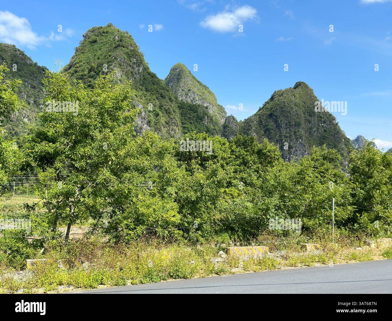 Une vue époustouflante se déploie, affichant des montagnes verdoyantes, des arbres et un ciel dégagé sous la lumière du soleil à Guangxi, en Chine. Banque D'Images Une vue époustouflante se déploie, affichant des montagnes verdoyantes, des arbres et un ciel dégagé sous la lumière du soleil à Guangxi, en Chine. Banque D'Images