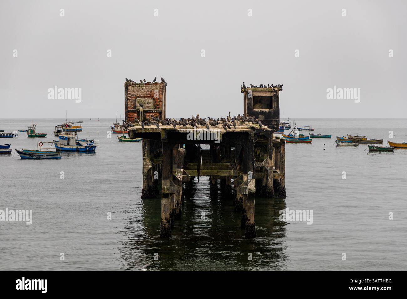 Une jetée avec beaucoup d'oiseaux dessus. La jetée est dans l'eau et il y a beaucoup de bateaux en arrière-plan Banque D'Images Une jetée avec beaucoup d'oiseaux dessus. La jetée est dans l'eau et il y a beaucoup de bateaux en arrière-plan Banque D'Images