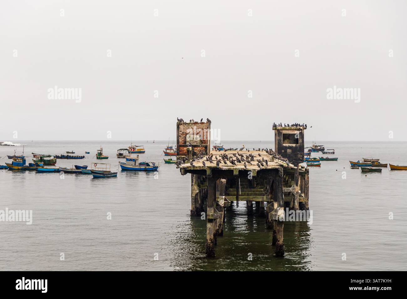 Un quai avec beaucoup de bateaux dans l'eau. La jetée est vieille et a beaucoup d'oiseaux dessus Banque D'Images Un quai avec beaucoup de bateaux dans l'eau. La jetée est vieille et a beaucoup d'oiseaux dessus Banque D'Images