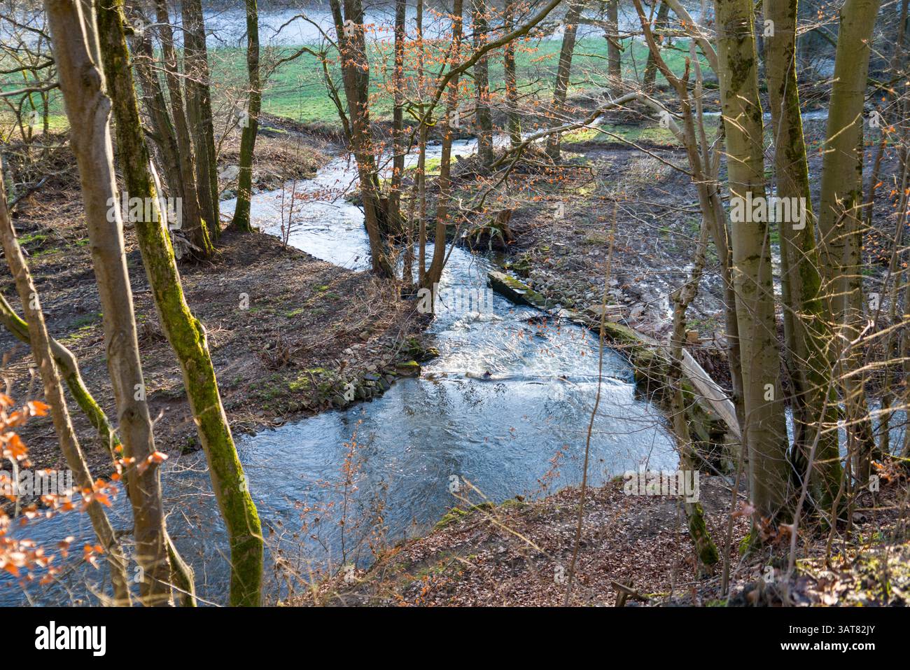 Rivière Holzape près de Wülmersen, Trendelburg, Hesse, Allemagne, Europe Banque D'Images