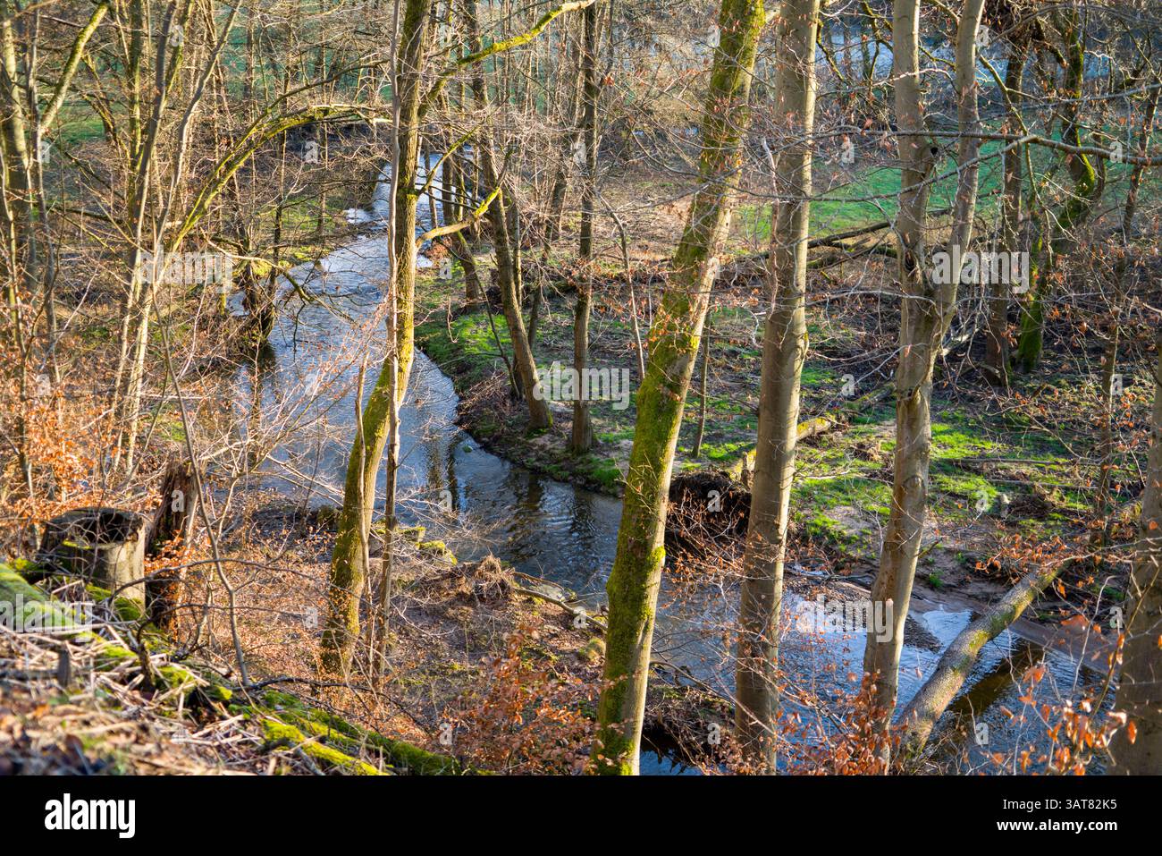 Rivière Holzape près de Wülmersen, Trendelburg, Hesse, Allemagne, Europe Banque D'Images