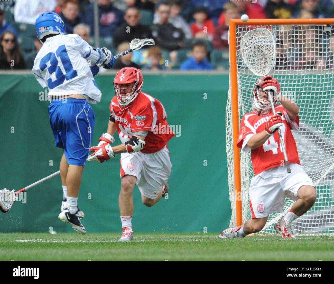 25 mai 2013 - Philadelphie, PA, États-Unis - L'attaquant Jordan Wolf (31) tire sur le gardien de Cornell AJ Fiore et marque le 11e but des Blue Devils lors du troisième quart-temps des demi-finales du championnat masculin de crosse de la NCAA au Lincoln Financial Field à Philadelphie, Pennsylvanie, le samedi 25 mai 2013. Duke a battu Cornell, 16-14, et s'est avancé pour la finale du championnat. (Crédit image : © Clem Murray/MCT/ZUMAPRESS.com) Banque D'Images