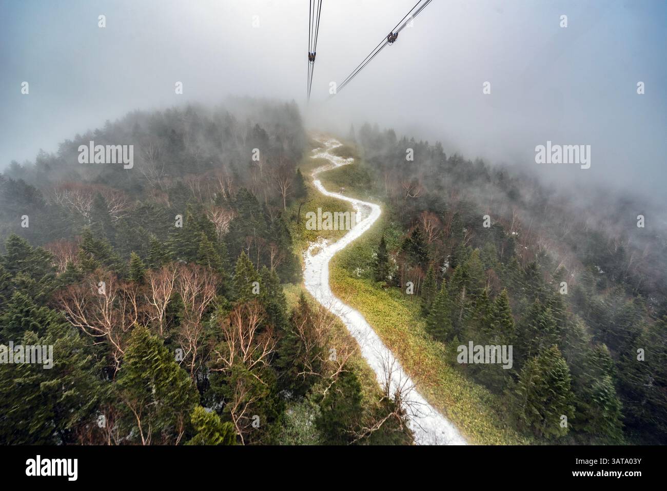 Vue aérienne du paysage forestier d'hiver depuis Shinhotaka téléphérique, Takyama, Gifu, Honshu, Japon Banque D'Images