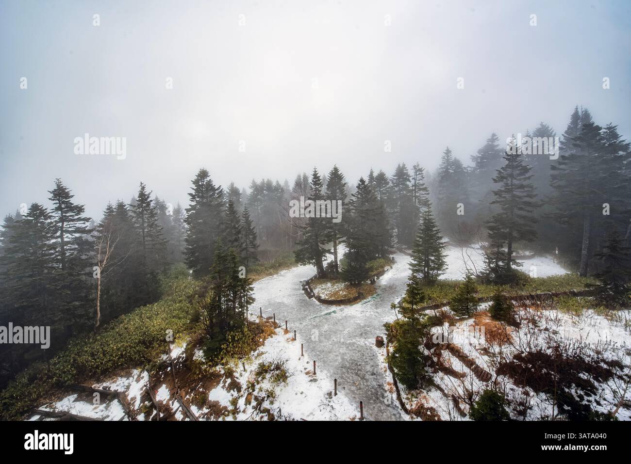 Vue aérienne d'un paysage forestier d'hiver depuis le téléphérique de Shinhotaka à la gare de Nishihotakaguchi, Takyama, Gifu, Honshu, Japon Banque D'Images