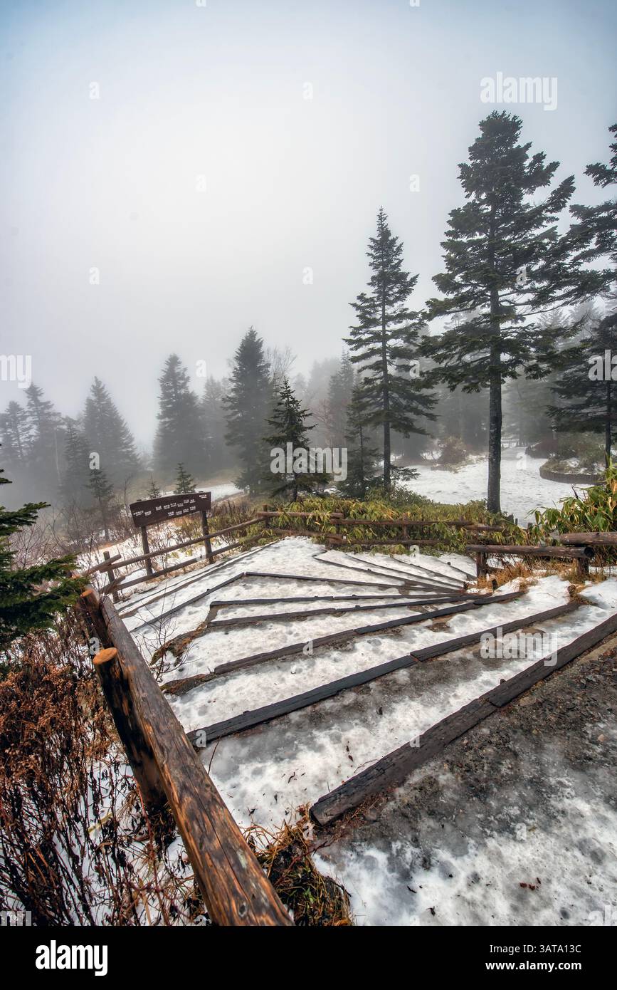 Vue aérienne d'un paysage forestier d'hiver depuis le téléphérique de Shinhotaka à la gare de Nishihotakaguchi, Takyama, Gifu, Honshu, Japon Banque D'Images