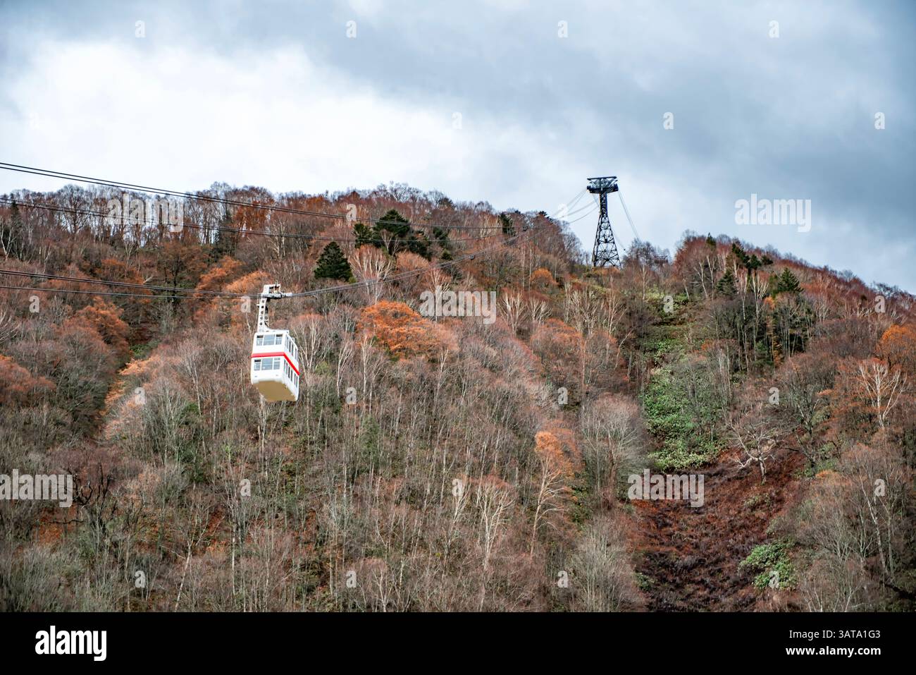 Téléphérique Shinhotaka téléphérique se déplaçant sur un paysage forestier hivernal, Takyama, Gifu, Honshu, Japon Banque D'Images