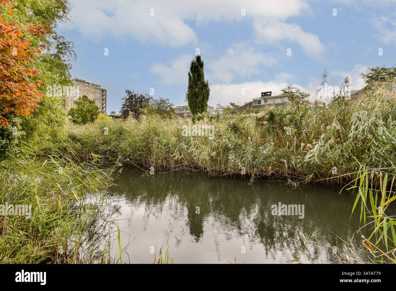 Une voie navigable sereine reflète un ciel bleu, bordé par un feuillage riche et des arbres vibrants, créant une scène naturelle paisible dans un environnement urbain. Banque D'Images