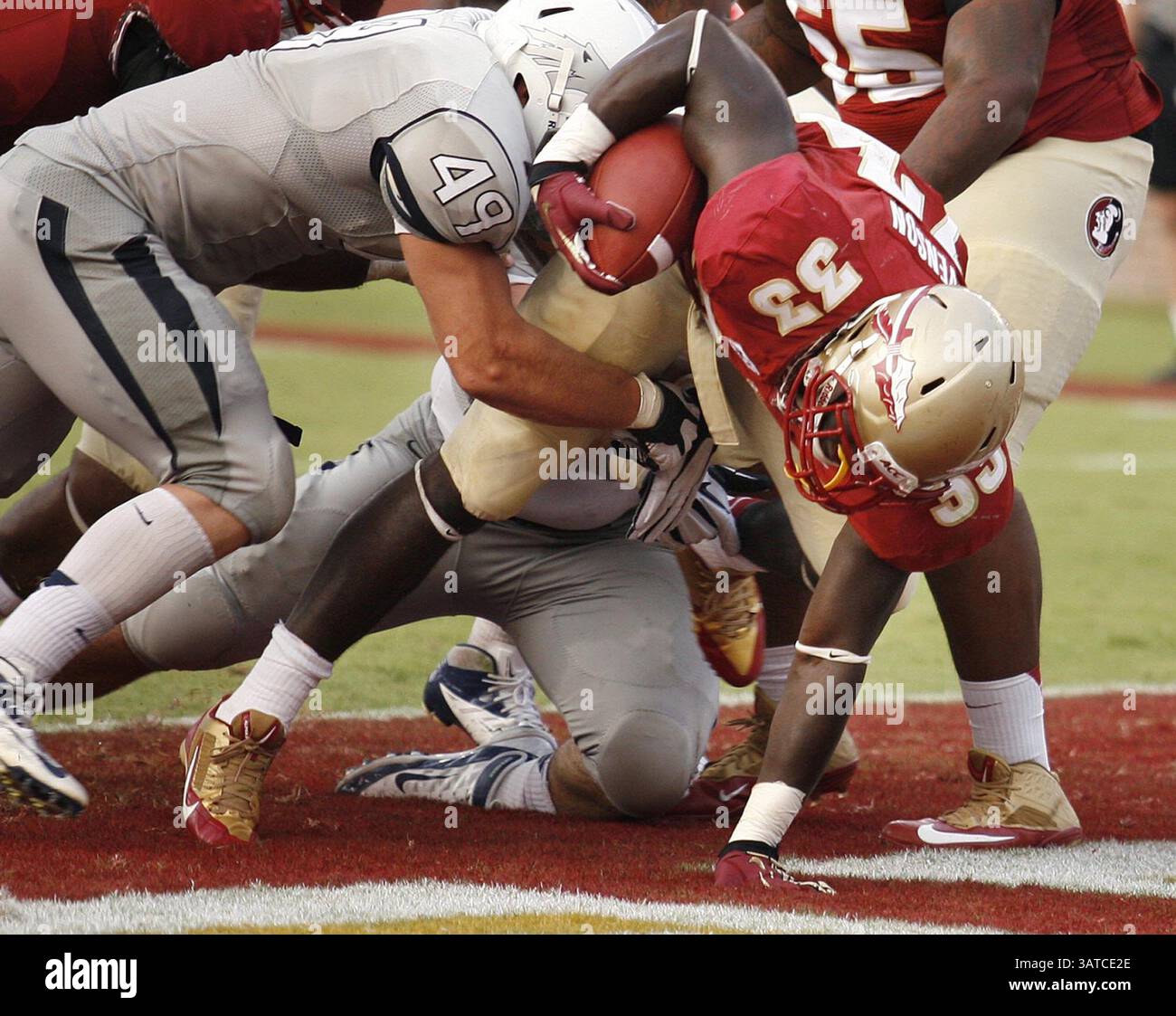 14 septembre 2013 - Tallahassee, FL, États-Unis - Florida State Running Back Freddie Stevenson (33 ans) entre dans la zone finale pour un touchdown contre le Nevada au stade Doak Campbell de Tallahassee, Floride, le samedi 14 septembre 2013. Le FSU a battu le Nevada, 62-7. (Crédit image : © Stephen M. Dowell/MCT/ZUMAPRESS.com) Banque D'Images