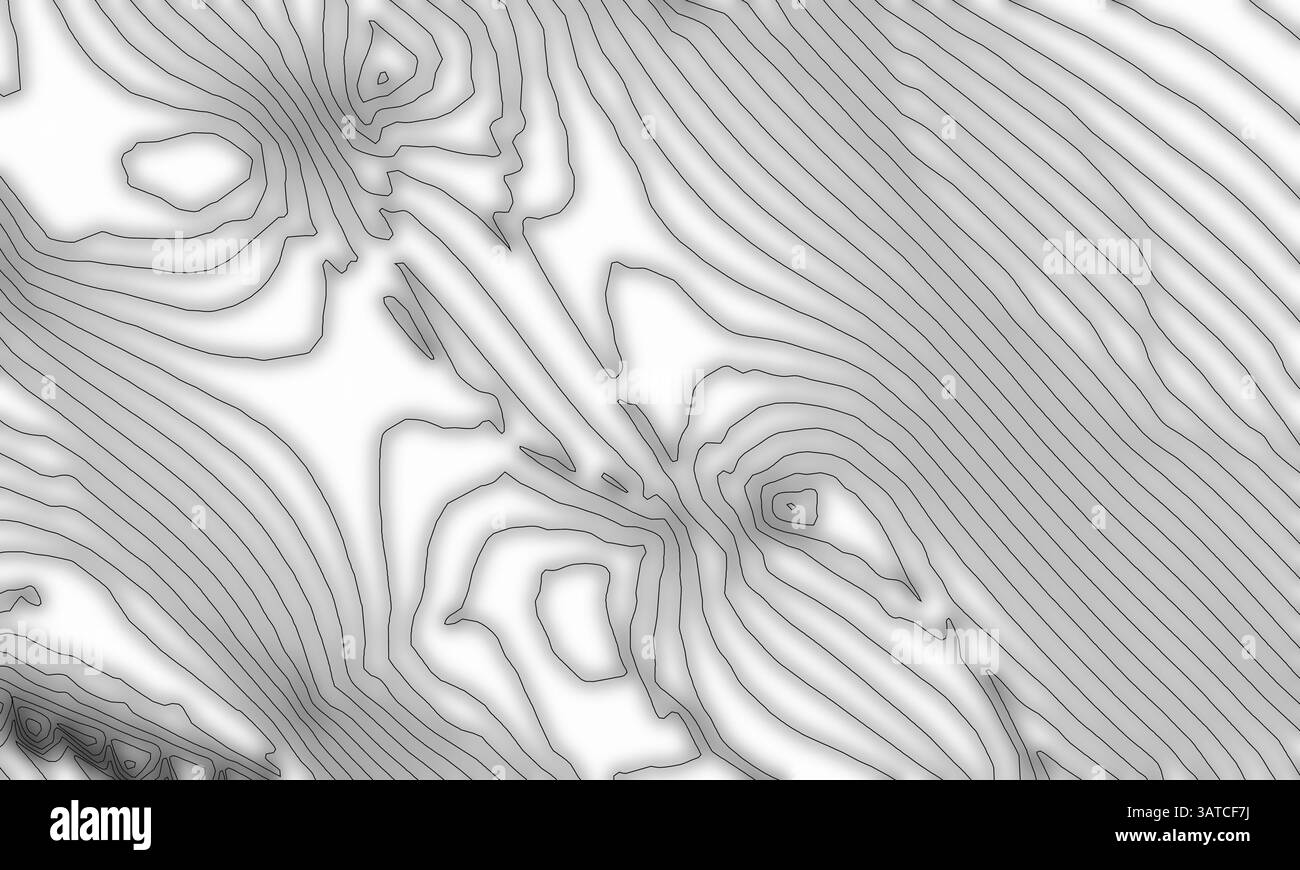 Art linéaire abstrait noir et blanc en style contour, ressemblant à des représentations topographiques ou mathématiques, illustrant des textures organiques et des patt Banque D'Images