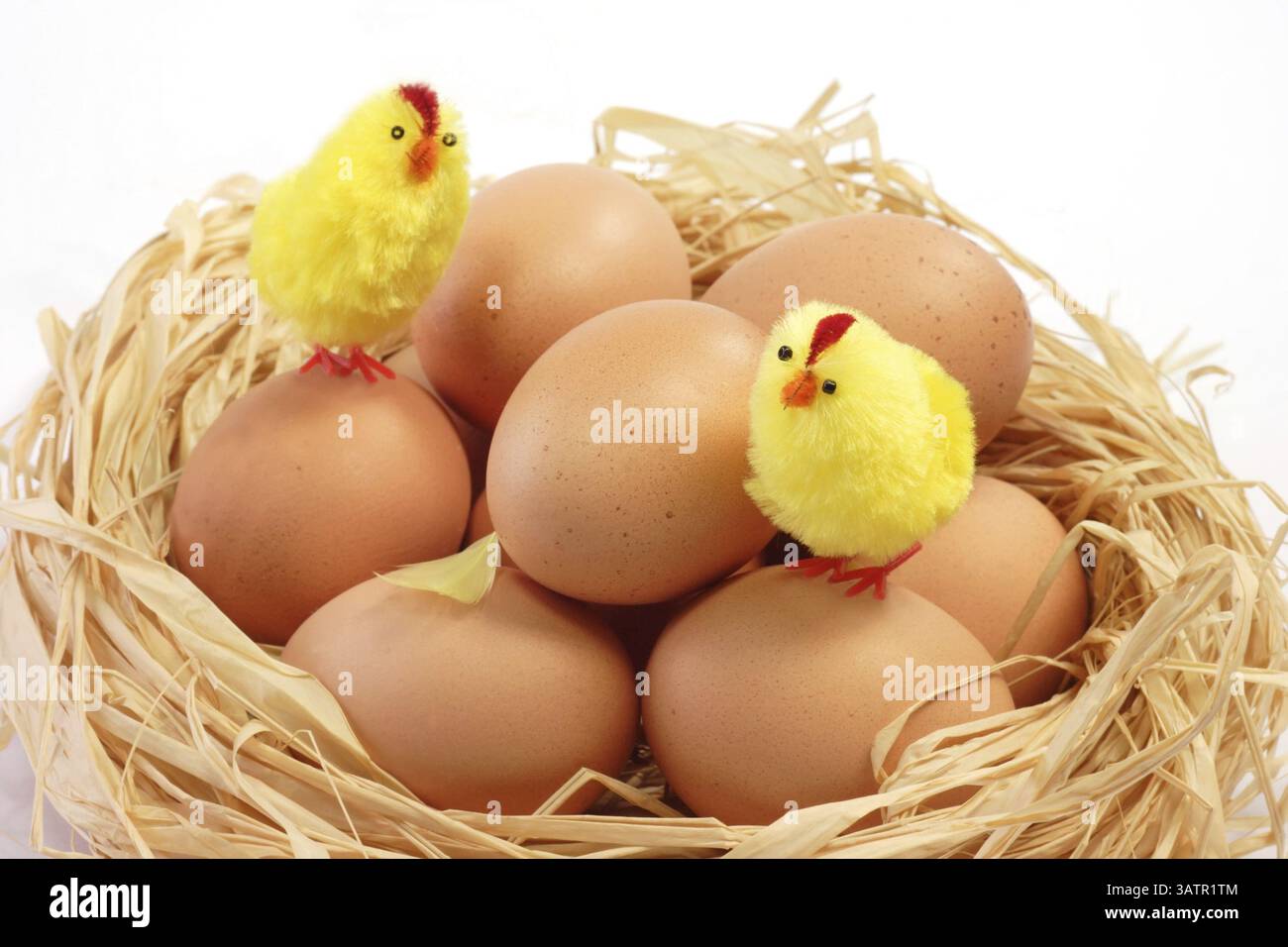 Nid de Pâques avec des poussins de jouet sur un fond clair poussins de Pâques dans le nid sur fond blanc Banque D'Images
