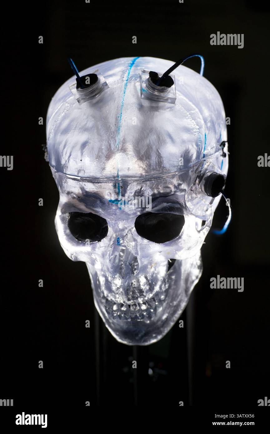 9 mars 2016 - Aberdeen, MD, États-Unis d'Amérique - capteurs fixés à un modèle de crâne humain translucide utilisés pour mesurer la vitesse et la pression des chocs explosifs au laboratoire de recherche de l'armée américaine à Aberdeen Proving Ground le 9 mars 2016 à Aberdeen, Maryland. Les données capturées par les capteurs sont utilisées pour faciliter les études sur les traumatismes cérébraux. (Crédit image : © EJ Hersom/Planet Pix via ZUMA Wire) Banque D'Images