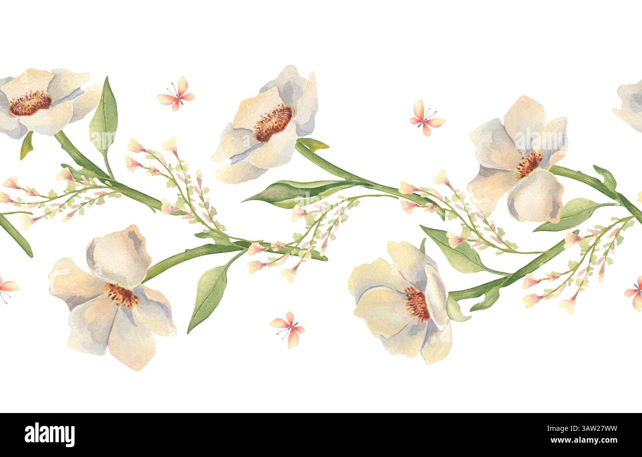 Bordure florale sans couture d'anémones crémeuses et de minuscules fleurs sauvages aquarelle dessinée à la main. Texture de répétition botanique élégante avec des fleurs blanches et Banque D'Images