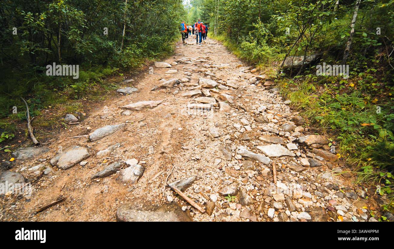 Les randonneurs marchent sur des terrains accidentés, serpentent à travers des bois verdoyants, incarnant l'exploration en plein air et le défi de la nature sauvage Banque D'Images