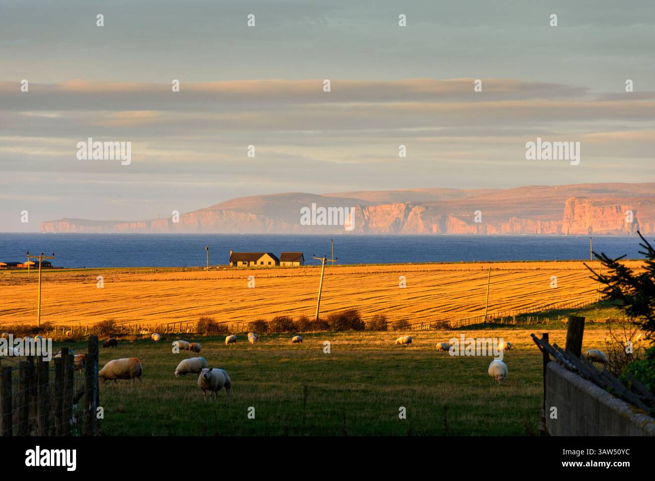 Coucher de soleil sur les falaises de Hoy, Orcades, sur le Pentland Firth. Près du village de Mey, Caithness, Écosse, Royaume-Uni Banque D'Images