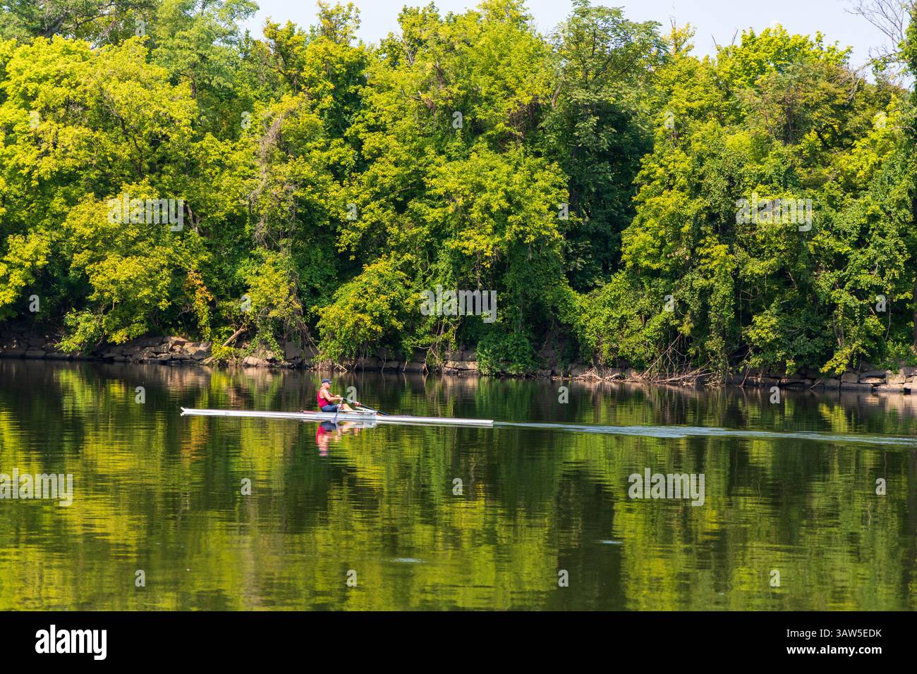 Un homme dans un gilet de sauvetage rouge rame un bateau dans la rivière Schuylkill. L'eau est calme et les arbres en arrière-plan sont luxuriants et verts. La scène est pe Banque D'Images Un homme dans un gilet de sauvetage rouge rame un bateau dans la rivière Schuylkill. L'eau est calme et les arbres en arrière-plan sont luxuriants et verts. La scène est pe Banque D'Images