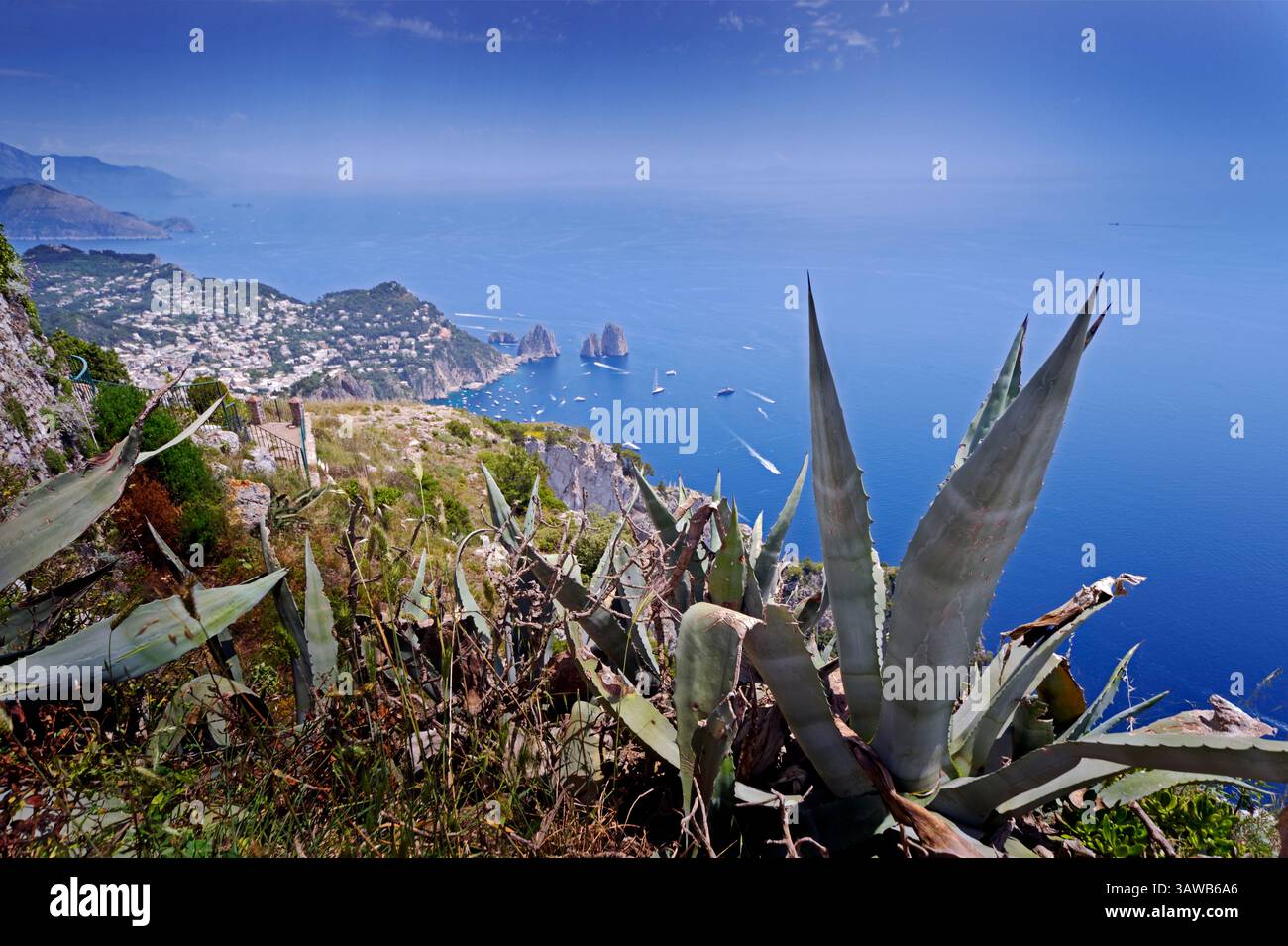 Vue imprenable sur la ville de Capri sur l'île de Capri, Italie montrant les célèbres rochers Faraglioni avec des plantes d'agave au premier plan. Banque D'Images Vue imprenable sur la ville de Capri sur l'île de Capri, Italie montrant les célèbres rochers Faraglioni avec des plantes d'agave au premier plan. Banque D'Images