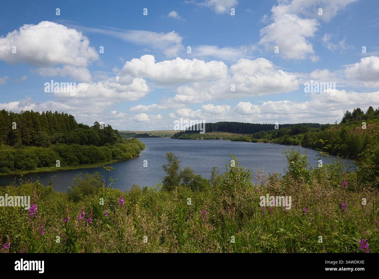 Vue du réservoir d'Usk au pays de Galles depuis une colline. Banque D'Images