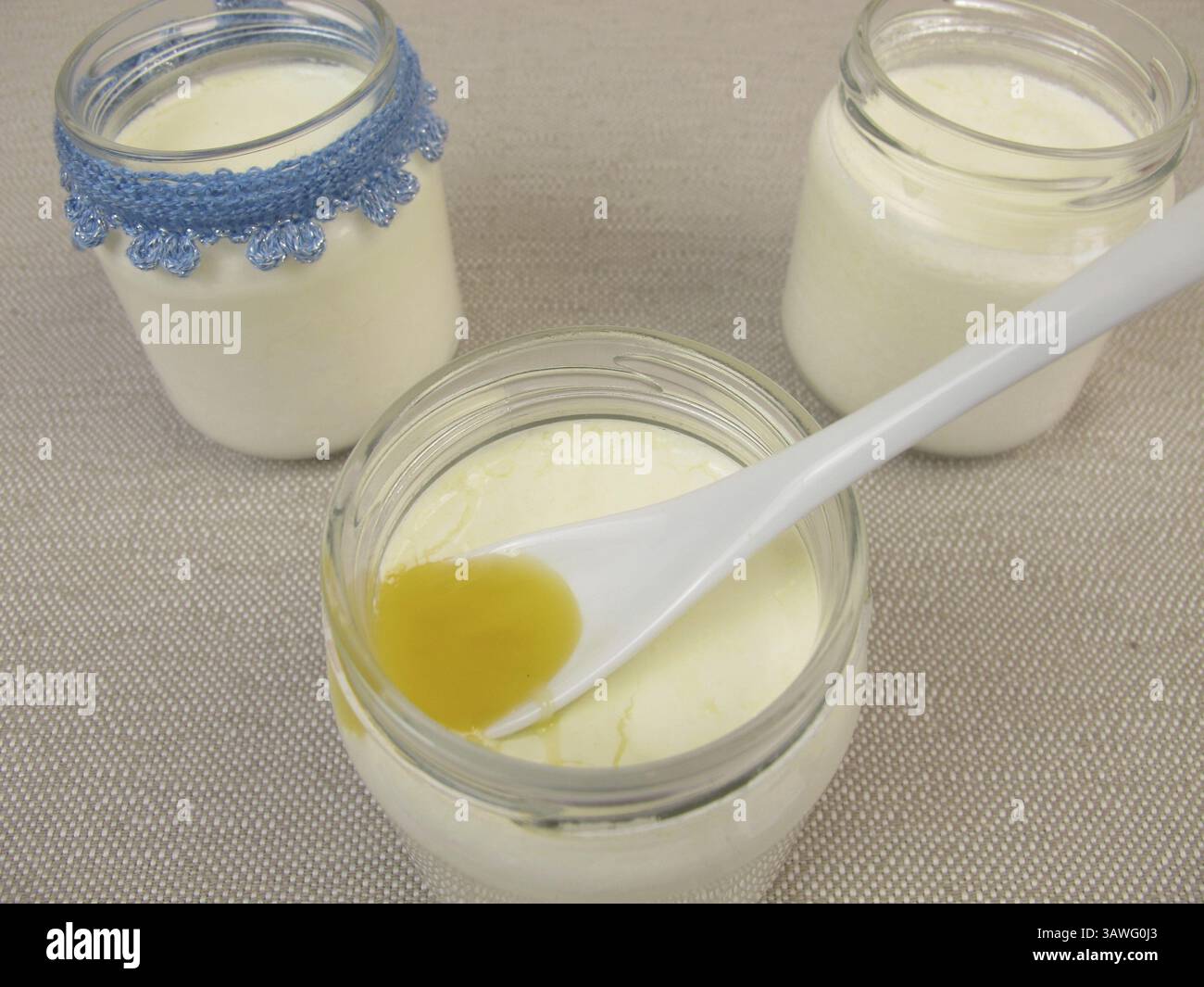 Yaourt de la yaourtière avec du miel Banque D'Images