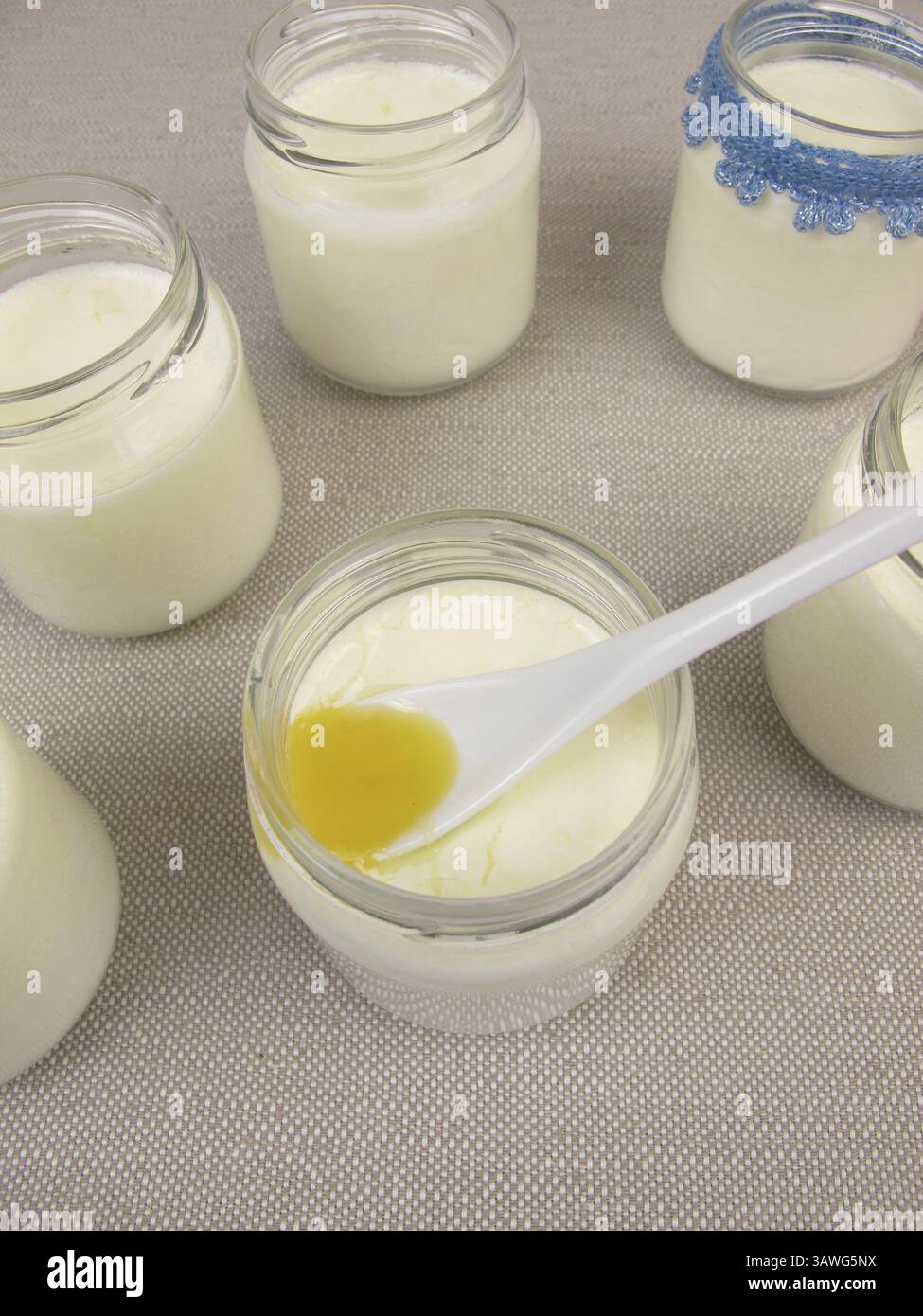 Yaourt de la yaourtière avec du miel Banque D'Images