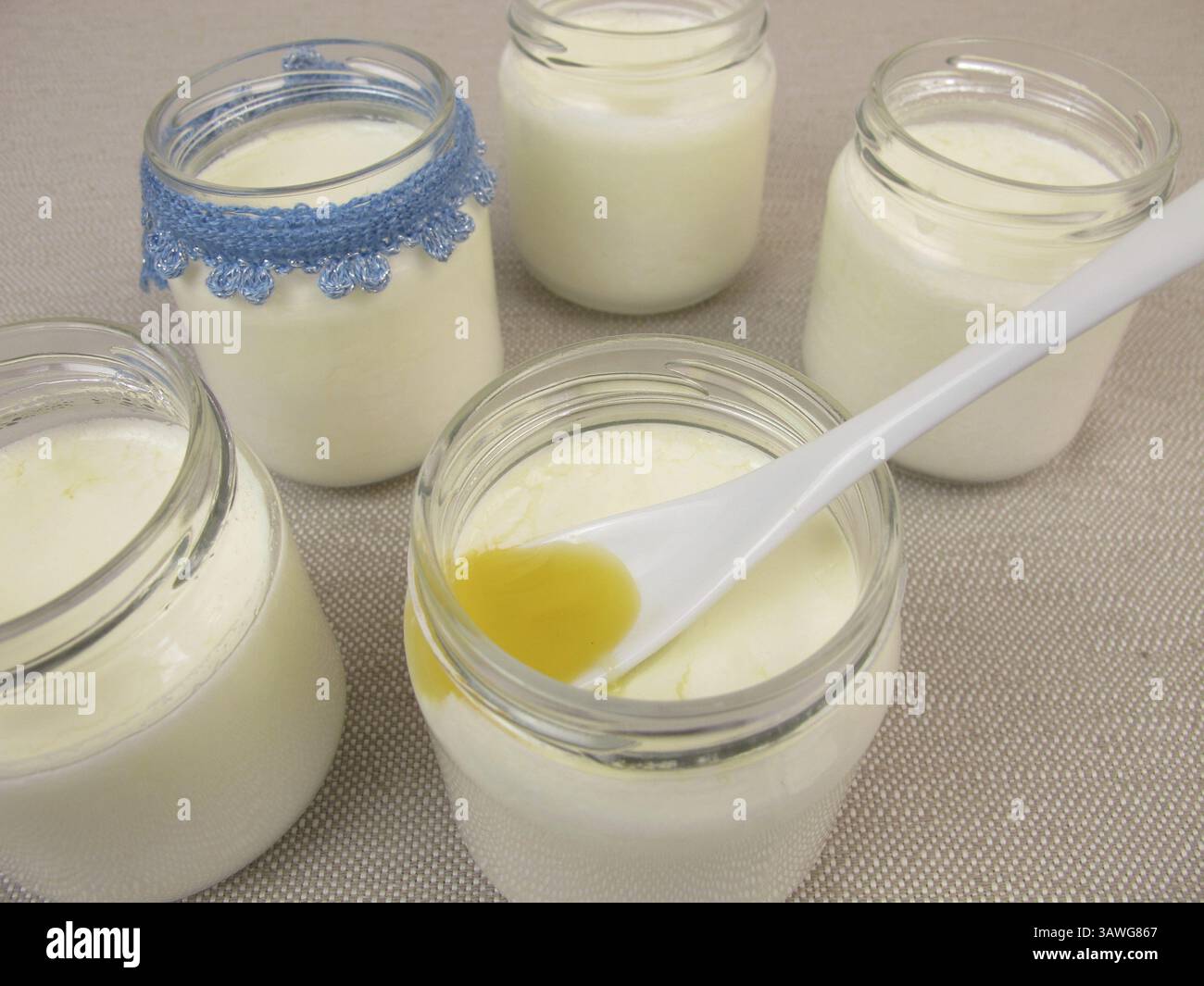 Yaourt de la yaourtière avec du miel Banque D'Images