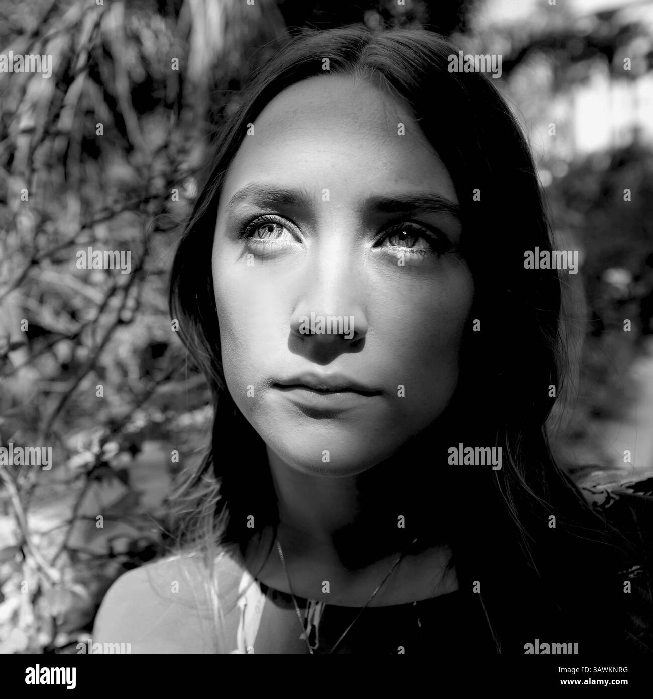 16 mars 2013 - Hollywood, Californie, États-Unis - BEVERLY HILLS, CA - 16 MARS : Portrait de Saoirse Ronan faisant la promotion de l'hôte au four Seasons Hotel le 16 mars 2013 à Beverly Hills, Californie (crédit image : © Armando Gallo/ZUMA Studio) Banque D'Images
