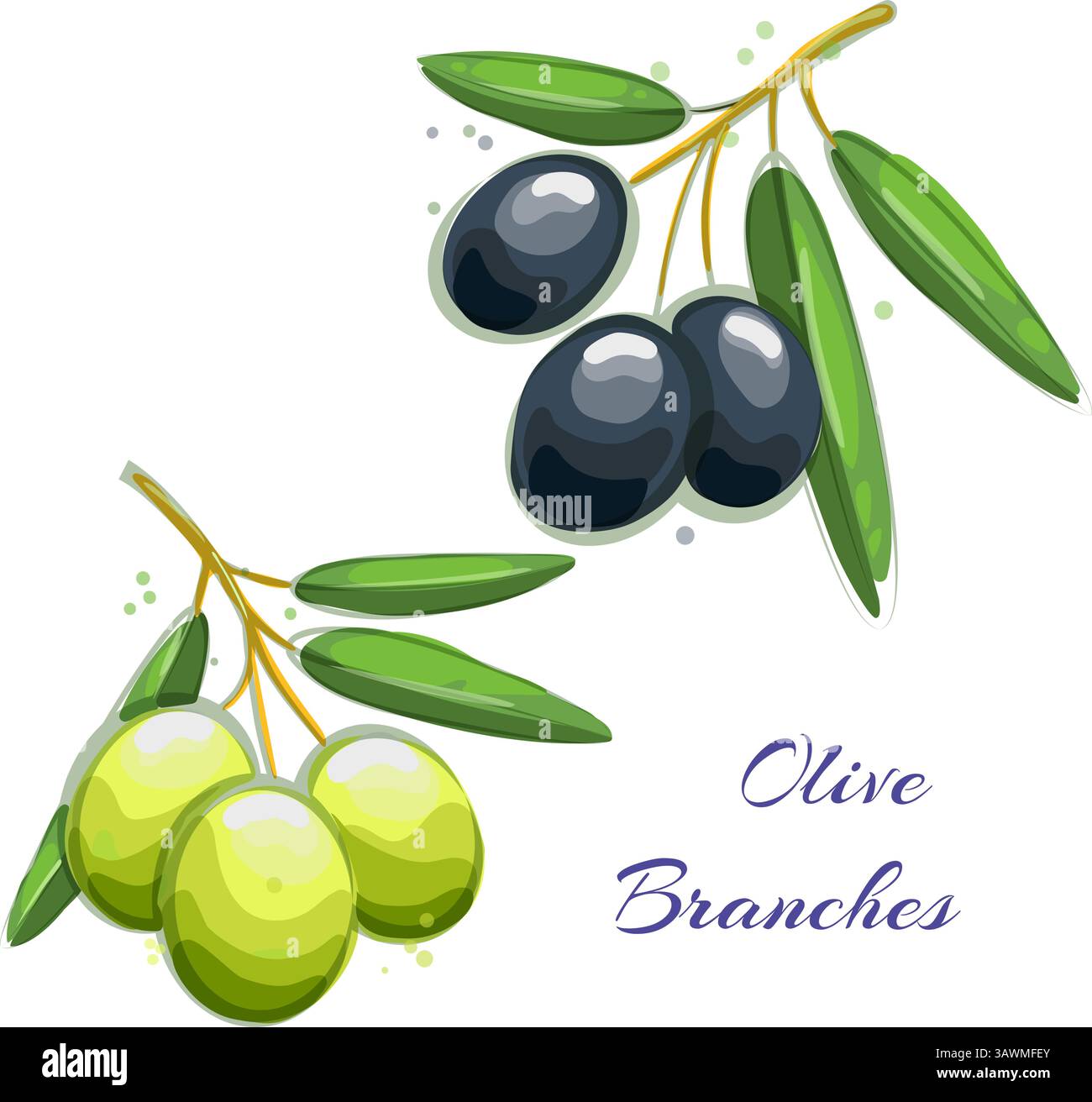 Croquis d'aquarelle de branches d'olivier Illustration de Vecteur