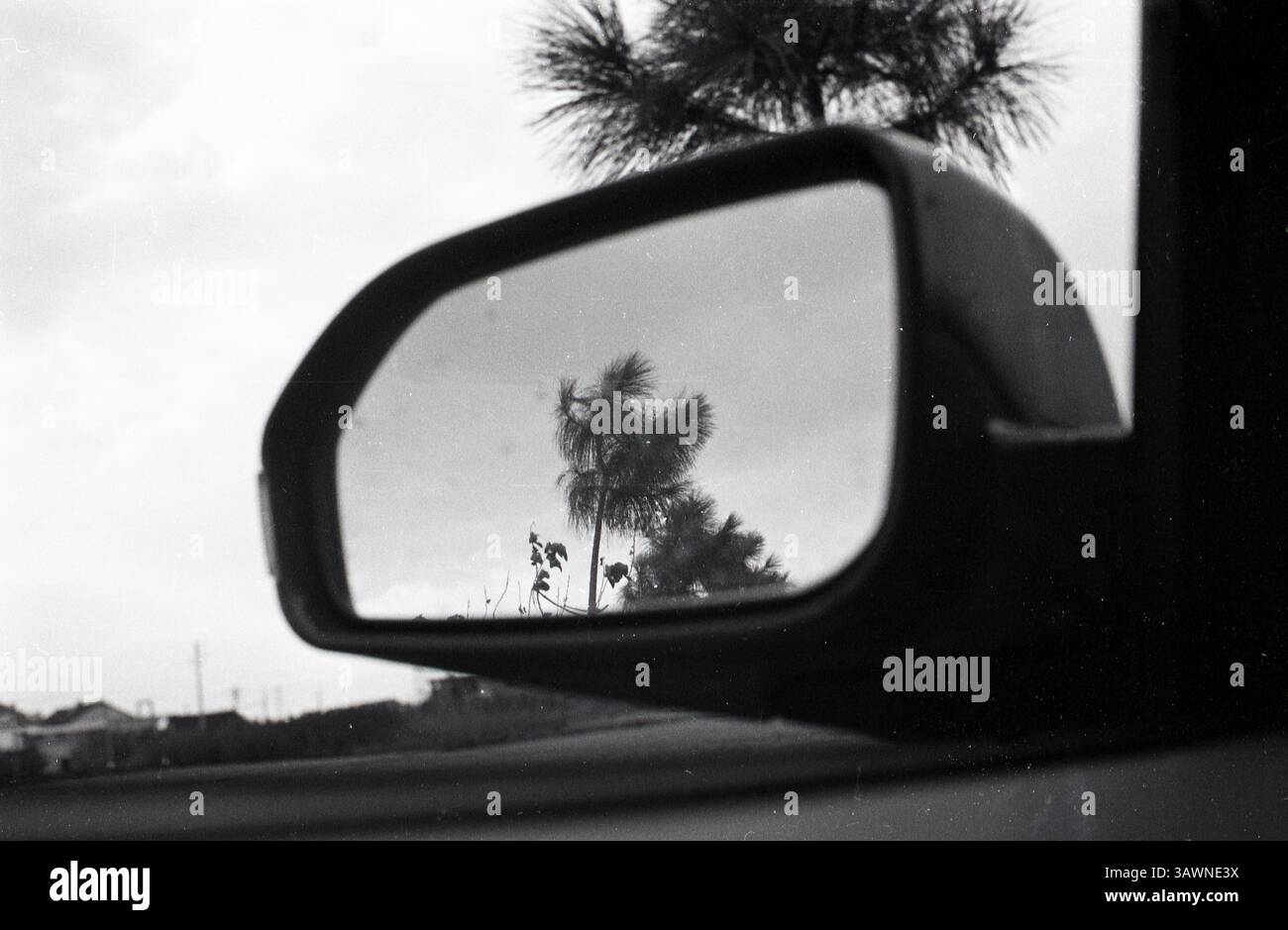 Reflets de la nature capturés dans le rétroviseur latéral d'une voiture par un jour nuageux dans un cadre tranquille - Roadside Palm Trees Reflected in car Side Mirror - photo de film noir et blanc, années 2000, Zhejiang, Chine Banque D'Images