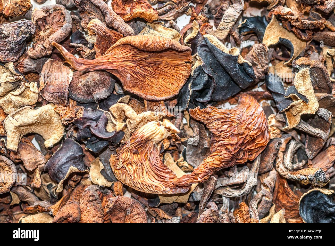 Sélection de champignons et champignons séchés pour la cuisson. Banque D'Images