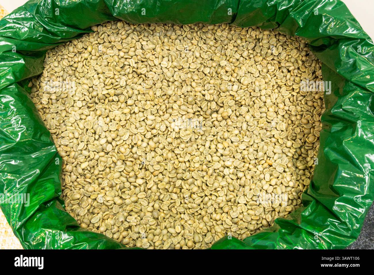 Un gros plan, de haut en bas, montre une grande quantité de grains de café verts crus remplissant un sac vert foncé. Les haricots ont une texture inégale Banque D'Images