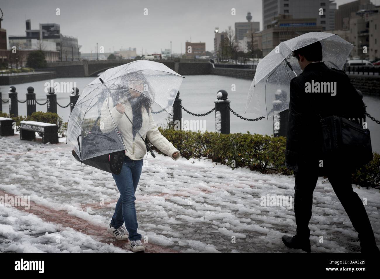 17 janvier 2016 - Tokyo, Japon - la neige est tombée dans certaines parties de l'est et du nord-est du Japon tôt lundi, avec des chutes de neige atteignant 6 centimètres dans le centre-ville de Tokyo et des systèmes de transport perturbés. La neige a temporairement mis à rude épreuve les services de trains à grande vitesse sur la ligne Tokaido Shinkansen et a entraîné la suspension de l'exploitation de trains express limités reliant Tokyo et Nagano et l'annulation de certains vols intérieurs. (Crédit image : © Alessandro Di Ciommo via ZUMA Wire) Banque D'Images