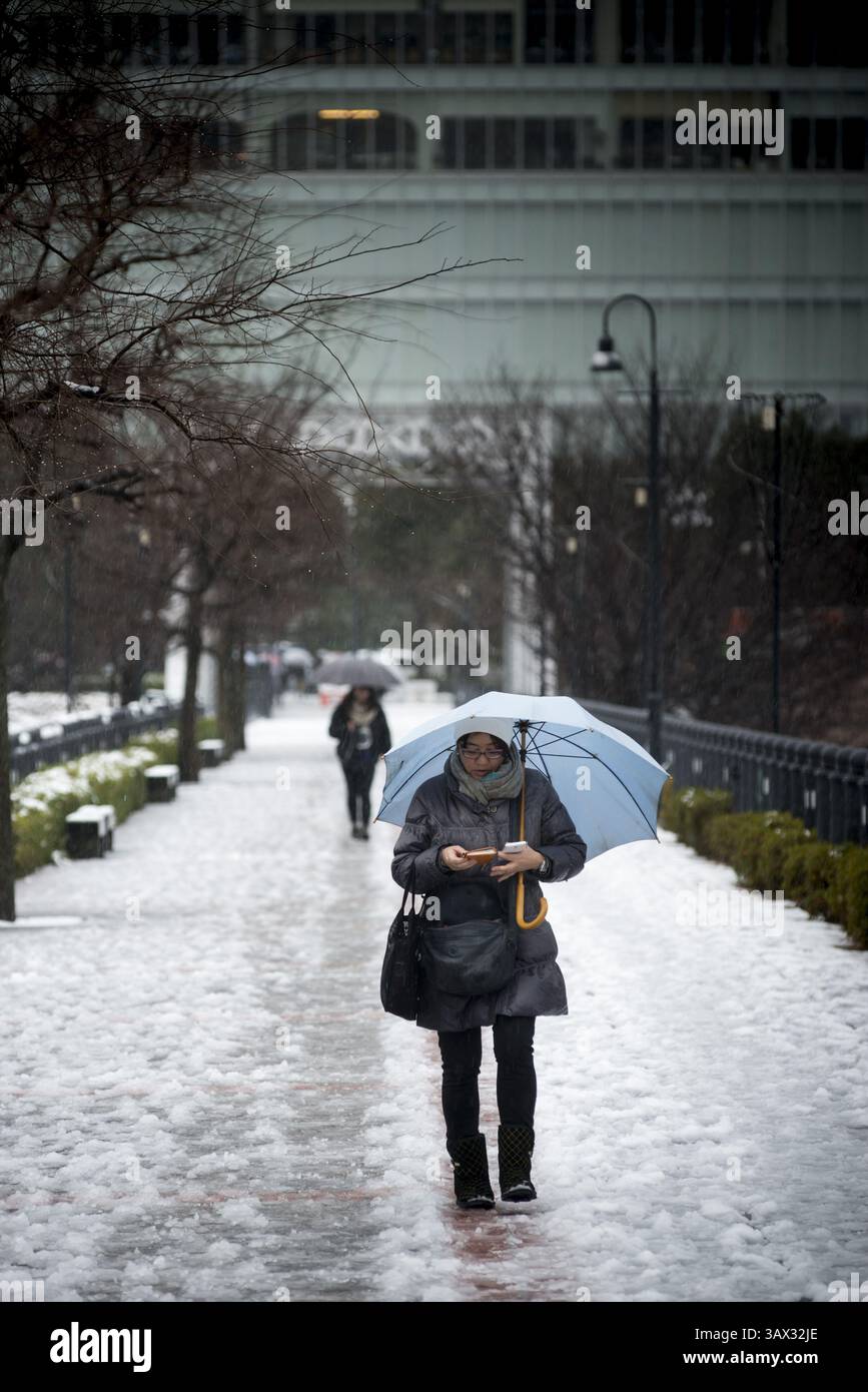 17 janvier 2016 - Tokyo, Japon - la neige est tombée dans certaines parties de l'est et du nord-est du Japon tôt lundi, avec des chutes de neige atteignant 6 centimètres dans le centre-ville de Tokyo et des systèmes de transport perturbés. La neige a temporairement mis à rude épreuve les services de trains à grande vitesse sur la ligne Tokaido Shinkansen et a entraîné la suspension de l'exploitation de trains express limités reliant Tokyo et Nagano et l'annulation de certains vols intérieurs. (Crédit image : © Alessandro Di Ciommo via ZUMA Wire) Banque D'Images
