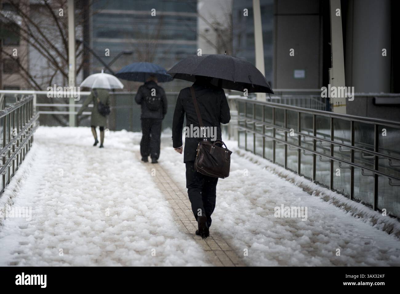 17 janvier 2016 - Tokyo, Japon - la neige est tombée dans certaines parties de l'est et du nord-est du Japon tôt lundi, avec des chutes de neige atteignant 6 centimètres dans le centre-ville de Tokyo et des systèmes de transport perturbés. La neige a temporairement mis à rude épreuve les services de trains à grande vitesse sur la ligne Tokaido Shinkansen et a entraîné la suspension de l'exploitation de trains express limités reliant Tokyo et Nagano et l'annulation de certains vols intérieurs. (Crédit image : © Alessandro Di Ciommo via ZUMA Wire) Banque D'Images