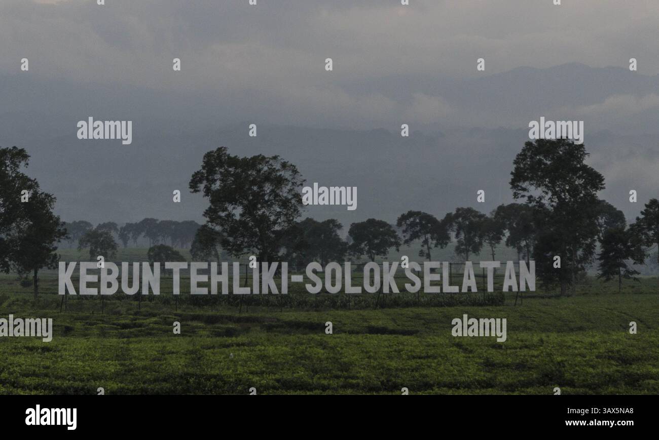 29 août 2016 - Sumatera Ouest, Sumatera Ouest, Indonésie - Padang, Sumatera Ouest, 29 août 2016 : les gens et la beauté de sumatera Ouest. Sumatra Ouest (en indonésien : Sumatera Barat, en abrégé Sumbar, Minangkabau : Sumatera Baraik) est une province de l'Indonésie. Il se trouve sur la côte ouest de l'île de Sumatra. La dernière estimation officielle pour janvier 2014 fait état d'une population de 5 098 790 habitants. Sumatra Ouest est subdivisé en 12 régences et sept villes. Elle compte relativement plus de villes que d'autres provinces d'Indonésie, à l'exception de la province de Java. Sa capitale est Padang. (Crédit image : © Donal Husni vi Banque D'Images