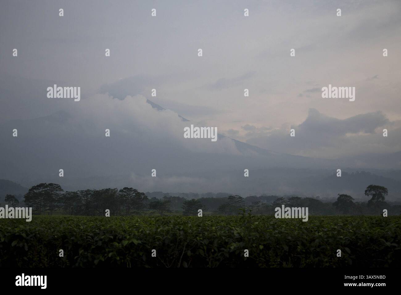 29 août 2016 - Sumatera Ouest, Sumatera Ouest, Indonésie - Padang, Sumatera Ouest, 29 août 2016 : les gens et la beauté de sumatera Ouest. Sumatra Ouest (en indonésien : Sumatera Barat, en abrégé Sumbar, Minangkabau : Sumatera Baraik) est une province de l'Indonésie. Il se trouve sur la côte ouest de l'île de Sumatra. La dernière estimation officielle pour janvier 2014 fait état d'une population de 5 098 790 habitants. Sumatra Ouest est subdivisé en 12 régences et sept villes. Elle compte relativement plus de villes que d'autres provinces d'Indonésie, à l'exception de la province de Java. Sa capitale est Padang. (Crédit image : © Donal Husni vi Banque D'Images