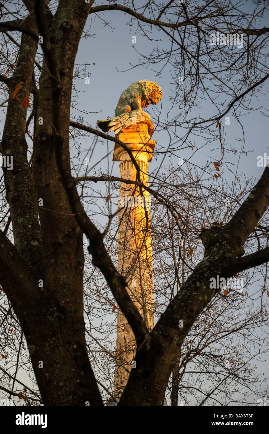 Photographie de la 'Rotunda da Boavista', officiellement connue sous le nom de Praça de Mouzinho de Albuquerque, est un grand rond-point à Porto, Portugal. Honore Joaqui Banque D'Images