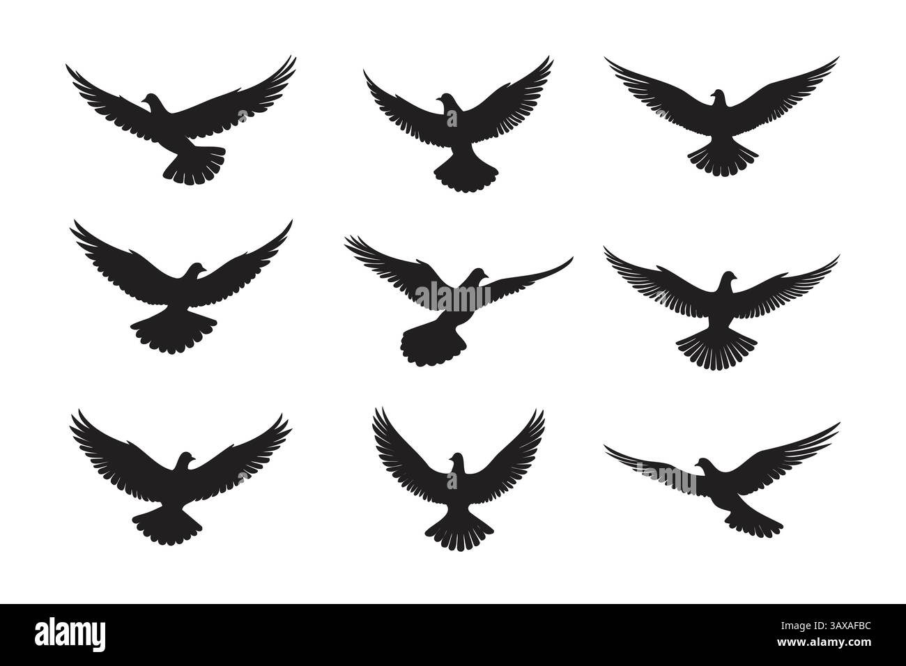 Neuf silhouettes noires de pigeons dans diverses positions de vol sur fond blanc. Illustration de Vecteur