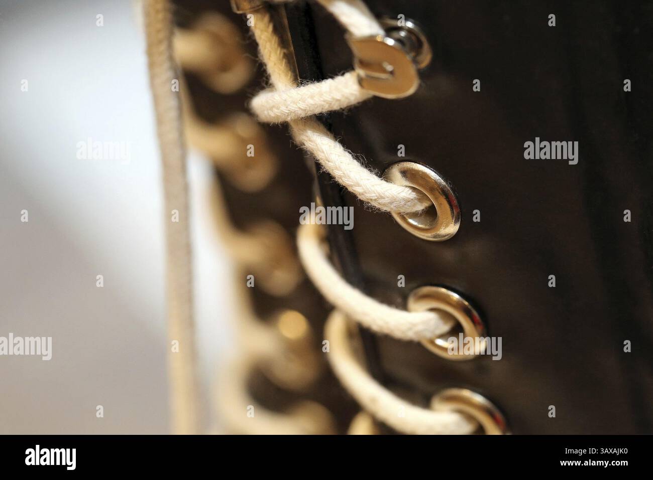 Oeillets sur une tige de chaussure Banque D'Images